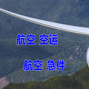 陇南成县航空快递快递-选东方航空和上海航空