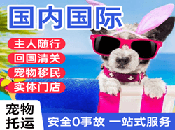 陇南成县航空快递国际宠物托运 【国